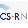 logo LCS RNet
