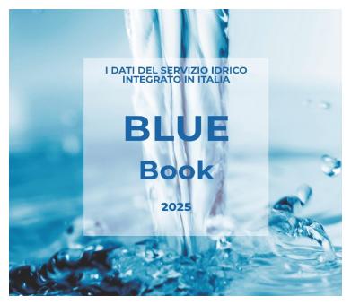 blue_book_2025_copertina