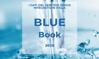 blue_book_2025_copertina
