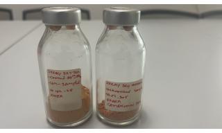 Campioni di pomodoro essiccato con il metodo dello spray drying in Camerum