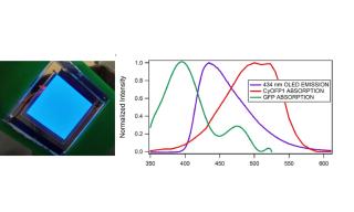 diodo organico a emissione di luce (OLED)  diodo organico a emissione di luce (OLED)